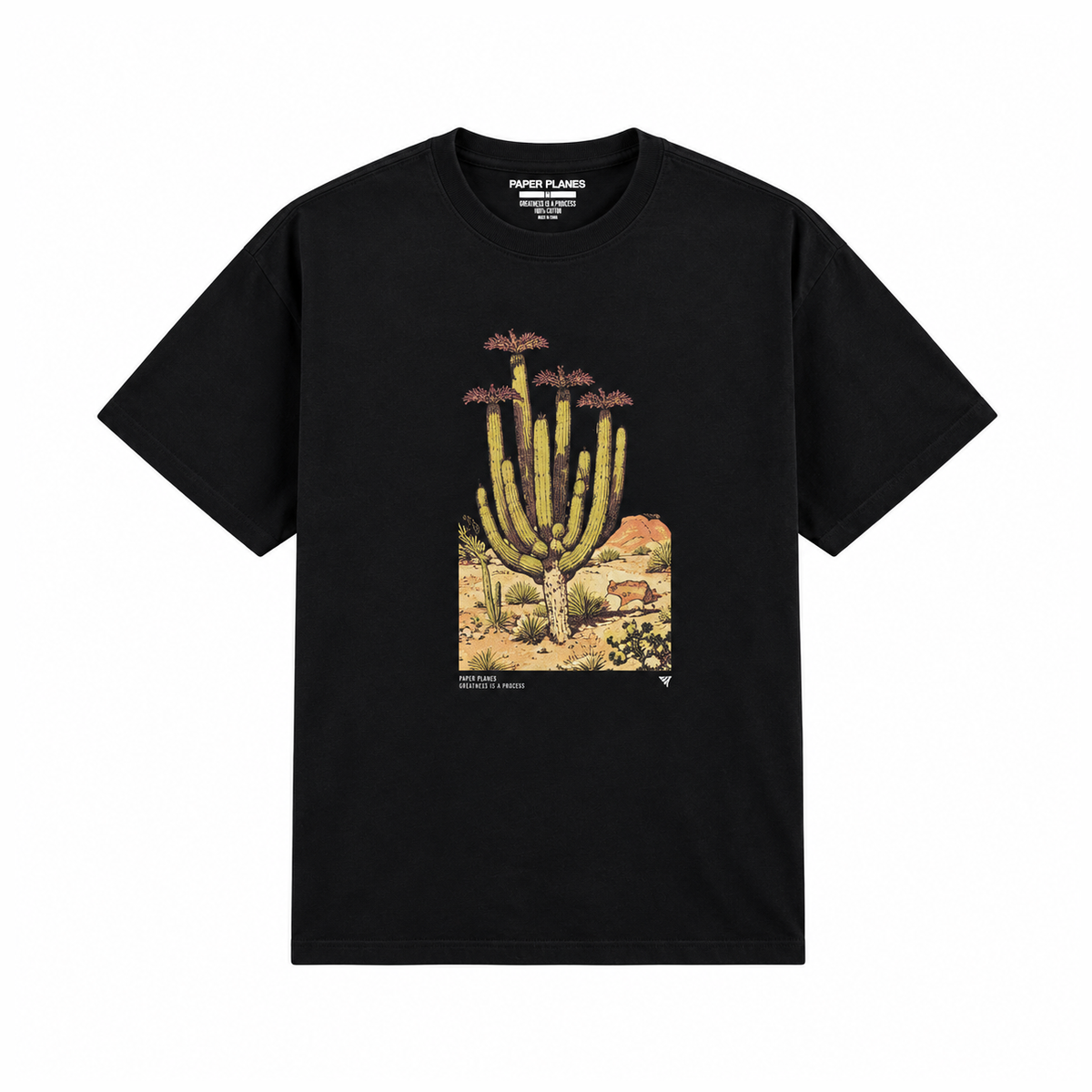 Planes Sanctuary Tee