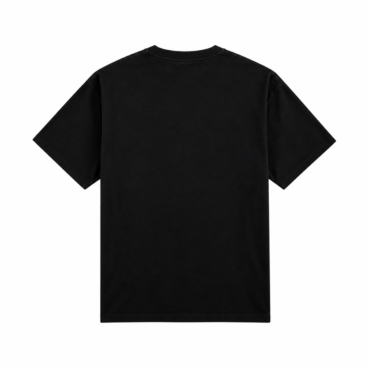 Planes Sanctuary Tee