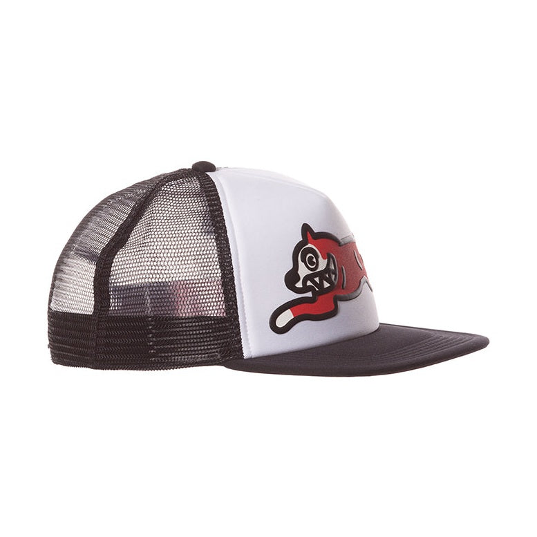 IC RD Trucker Hat
